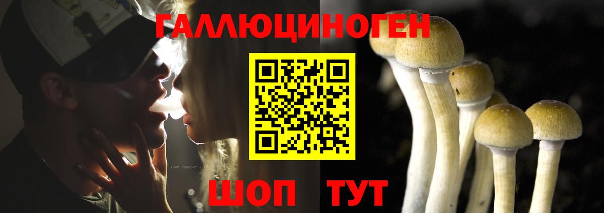 Псилоцибиновые грибы прущие грибы  Вход с VPN  Тосно  Галлюциногенные грибы Cubensis 
